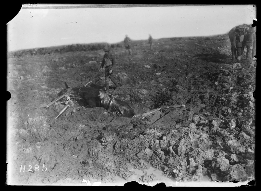 A soldier goes to help a mule bogged down in the mud, near Kansas Farm in the Ypres sector, 20 October 1917.